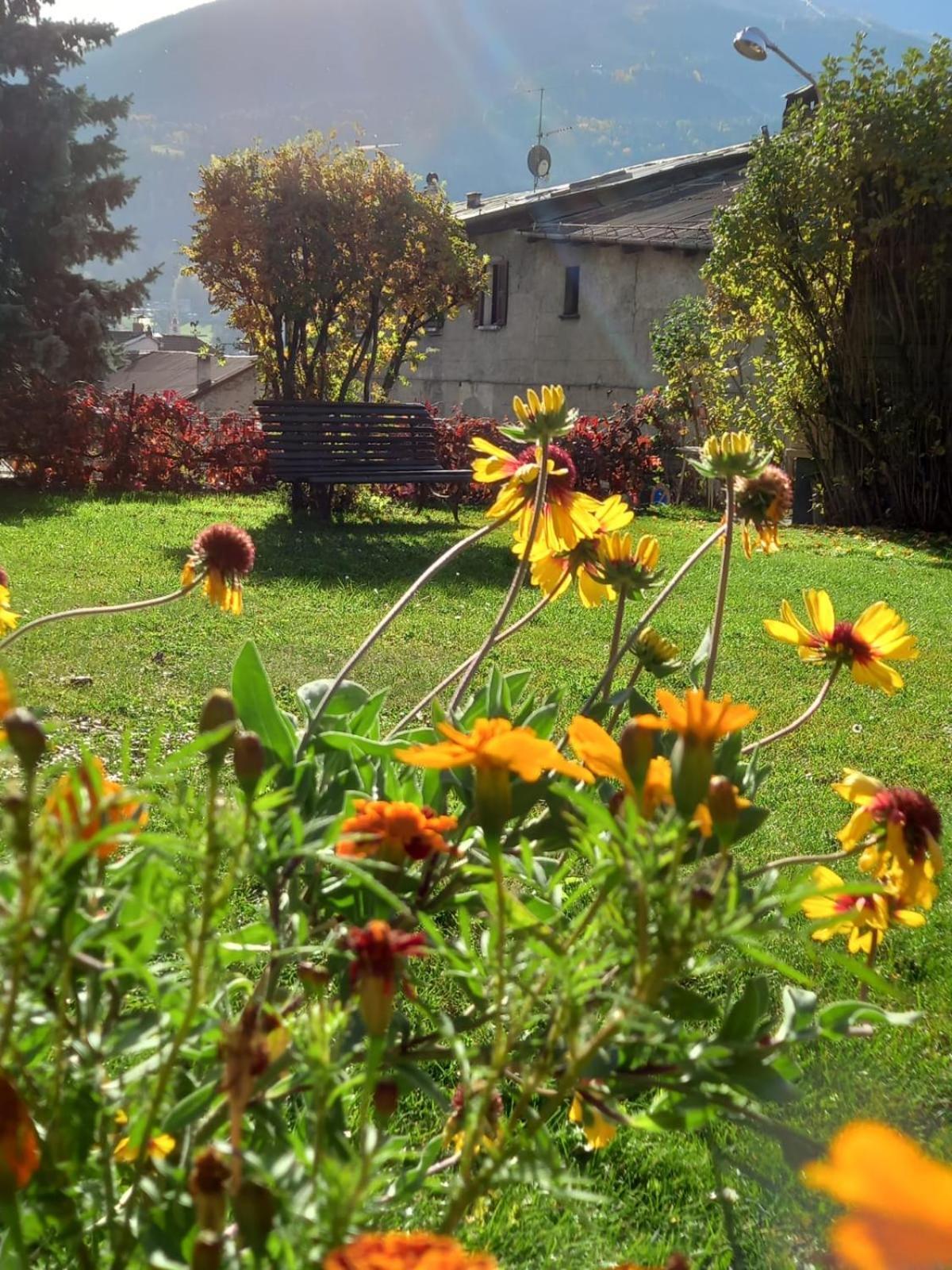 Appartamenti Via Monte Braulio 19 Bormio Eksteriør bilde